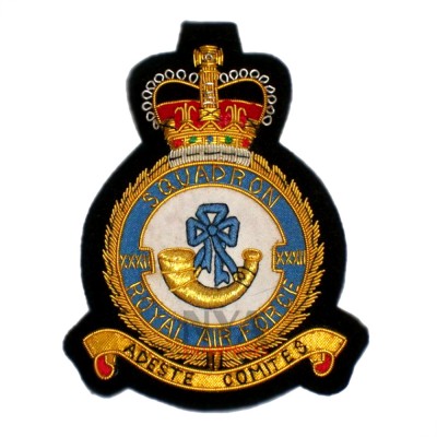 Squadron Badges